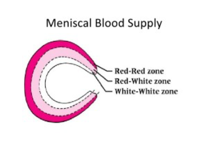 Home Blood Journal