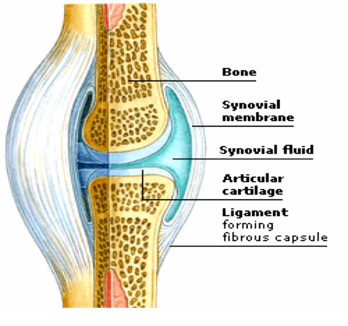 What Are Viscosupplement Injections? Mahwah Valley Orthopedic Associates